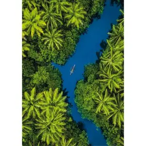Clementoni Puzzle 500 pièces : Vue aérienne tropicale pas cher