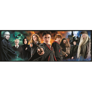 Comparateur de prix : Puzzle 1000 pièces Clementoni Panorama Harry Potter