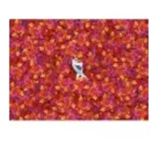 Comparateur de prix : Puzzle Impossible 1000p - Reine des Neiges 2 - 69 x 50 cm - Clementoni