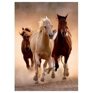 Comparateur de prix : Clementoni - Puzzle - Chevaux sauvages - 1000 pièces - 67,7 x 47,7 cm - Fabriqué en Italie