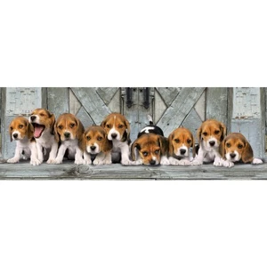 Puzzle 1000 pièces Clementoni Panorama Beagles pas cher