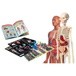 Clementoni Laboratoire Scientifique D´anatomie pas cher