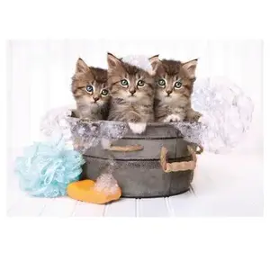Clementoni - 29109 - SuperColor 180 pieces - Lovely Kittens pas cher