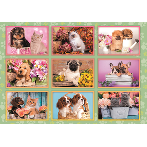Collage de Chiots 180 Pièces Clementoni pas cher