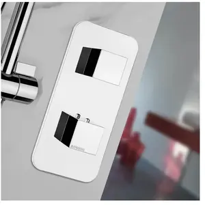 Bossini Alta Portata Mitigeur thermostatique, pour douche, Z032202030, pas cher