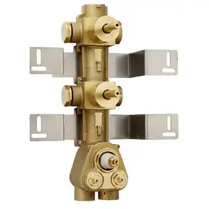 Bossini Alta Portata Corps à encastrer pour thermostat à 2 sorties, Z0...
