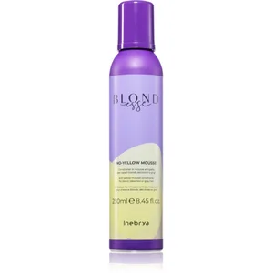 Comparateur de prix : INEBRYA NO YELLOW MOUSSE 250ML
