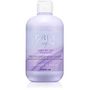 Inebrya GREYlosophy Grey By Day Shampooing 300 ml pas cher