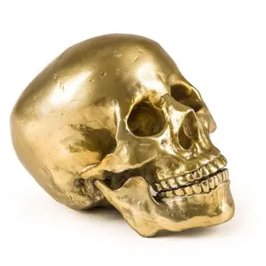 Seletti HUMAN SKULLVendu paramazon