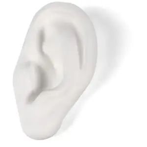 SELETTI Memorabilia Museum Oreille BlancVendu pararchiproducts