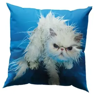 Seletti ANGRY CAT pas cher