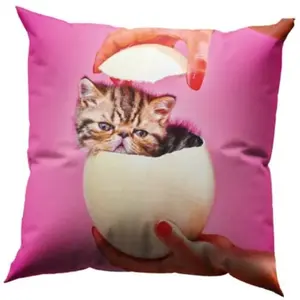 Seletti CAT SURPRISE pas cher