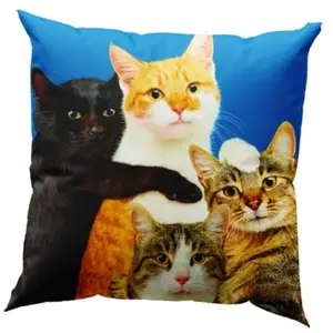 Seletti POLYCATS pas cher