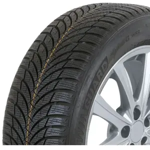 Pneu Hiver Nexen WINGUARD SNOW G WH2 215 / 55 R 16 93 H (M+S,Radial,3PMSF) pas cher