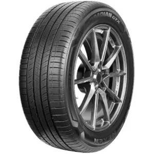 Nexen Roadian GTX 225 60 18 H 100 All-Season pas cher