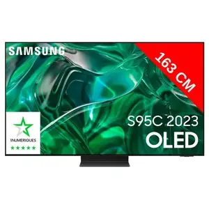 TV OLED Samsung TQ65S95C 165 cm 4K UHD Smart TV Noir pas cher