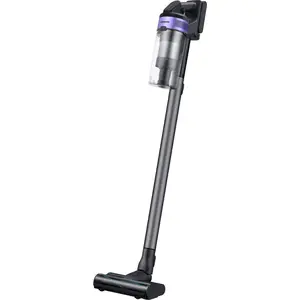 Comparateur de prix : SAMSUNG Aspirateur balai Jet 75E Pet Violet - VS20B75BGR4 Violet