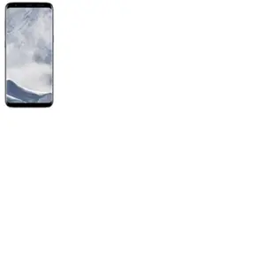 Samsung Galaxy S 8+ 15,8 cm (6.2") SIM unique Android 7.0 4G USB Type-C 4 Go 64 Go 3500 mAh pas cher
