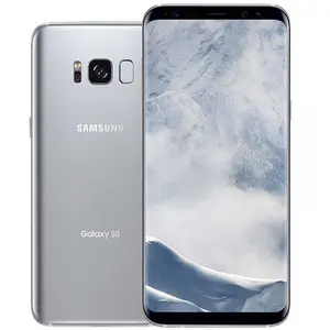 Samsung Galaxy S8 14,7 cm (5.8") SIM unique Android 7.0 4G USB Type-C 4 Go 64 Go 3000 mAh Argent pas cher