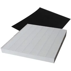 Coway Filtre Purificateur D'air Mighty - CowayVendu parrakuten