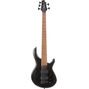 Cort B5 Element - Basse électrique 5 cordes série Artisan B - Noir pores ouvertsVendu parbax-music