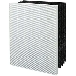 Filtre p150 - winix pas cher