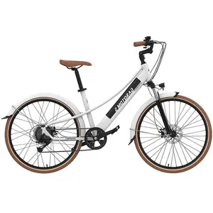 Emotorad Vélo électrique Plymouth pas cher