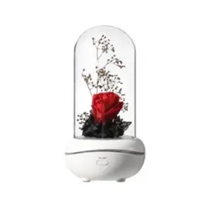 EFUTURE LED Lampe Fleur Rose éternelle USB Charge Lampe à parfum Veill... pas cher