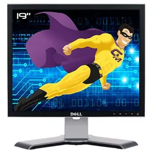 Écran 19" LCD SXGA Dell 1908FPB pas cher
