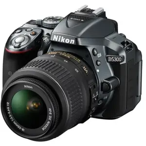 Reflex D5300 - Gris + Nikon AF-P DX Nikkor 18-55mm f/3.5-5.6G VR f/3.5... pas cher