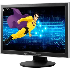 Écran 22" LCD WSXGA+ Hyundai N220W pas cher