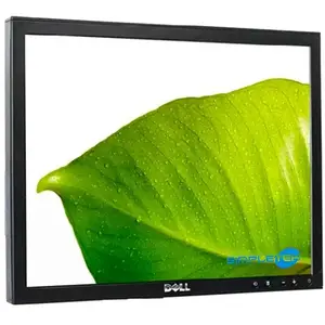 Écran 17" LCD 1280 X 1024 Dell E170SB pas cher