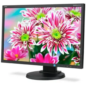 Écran 22" LCD WSXGA+ Nec MultiSync E223W-BK pas cher