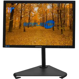 Écran 19" LCD WXGA+ Samsung S19e450 pas cher