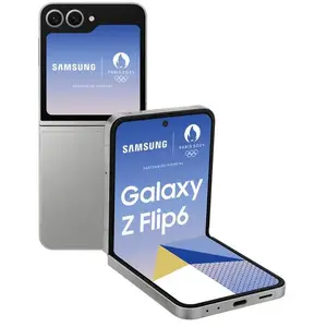 Samsung Galaxy Z Flip6 512 Go - Argent - Débloqué pas cher