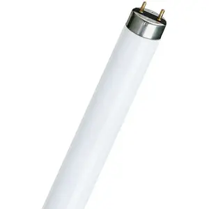 Ampoulepascher propre marque Fluorescent T8 | 18W | Raccord G13 | 865 Lumière du jour | 60cmVendu parampoulepascher