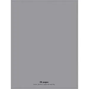 VISIODIRECT Lot de 10 Cahiers piqûre, 48 pages, Grands carreaux Seyès, Format 24 x 32 cm, Couverture polypro GRIS pas cher