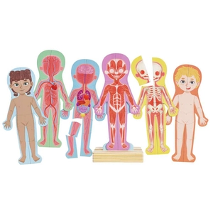 Hape Puzzle aimanté Le corps humain pas cher