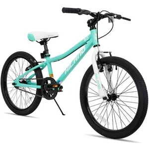 Hiland Vélo de montagne 20 pouces pour enfants de 7, 8, 9, 10, 11, 12 ans, frein en V,1 vitesses unique-VertVendu parcdiscount