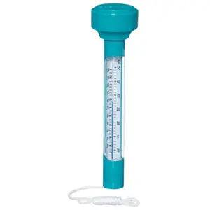 Comparateur de prix : Bestway Thermomètre flottant en ABS