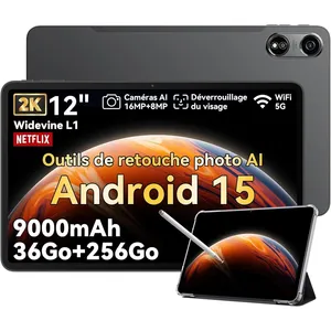 Tablette OSCAL Pad 100 12" FHD+ 2K 12 Go/256 Go Android 15 4G Gris