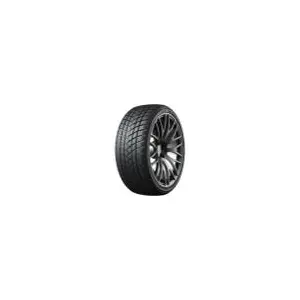 GT Radial WinterPro2 Sport 215/45 R17 91V pas cher