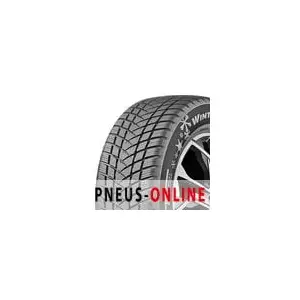 GT Radial Champiro Winterpro 2 EVO XL 195 65 15 T 95 Winter pas cher