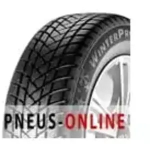 GT Radial Champiro Winterpro 2 195/55 R16 91H pas cher