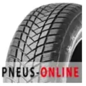 GT Radial WinterPro2 Sport 225/45 R17 94V pas cher