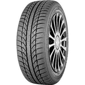 GT Radial CHAMPIRO WINTERPRO HP 205/55 R16 94V pas cher
