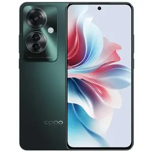 OPPO 11 F 17 cm (6.7") Double SIM Android 14 5G USB Type-C 8 Go 256 Go 5000 mAh Vert pas cher