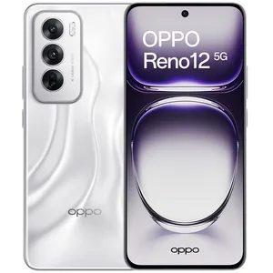 OPPO Reno12 5G 17 cm (6.7") Double SIM Android 14 USB Type-C 12 Go 256 Go 5000 mAh Argent pas cher