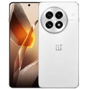 Non communiqué OnePlus 13 - 12/256GB - Blanc pas cher