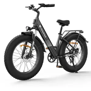 isinwheel M60 Vélo électrique tout-terrain à gros pneus 750W pas cher